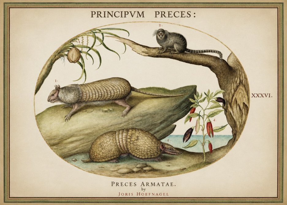 Joris Hoefnagel Praeces Armatae. No2 - Poster