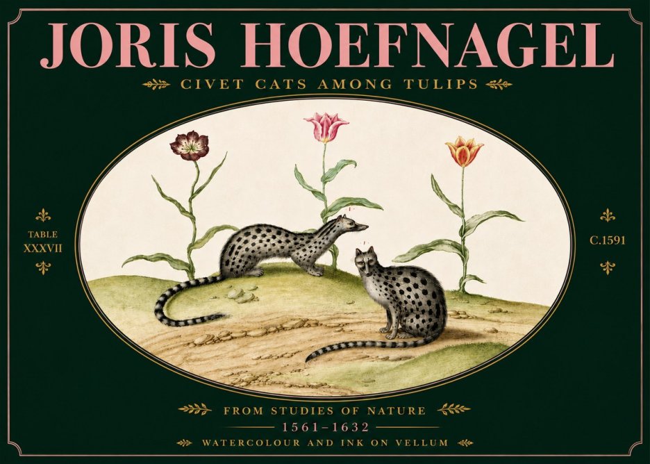 Joris Hoefnagel Civet Cats Among Tulips No5 - Poster