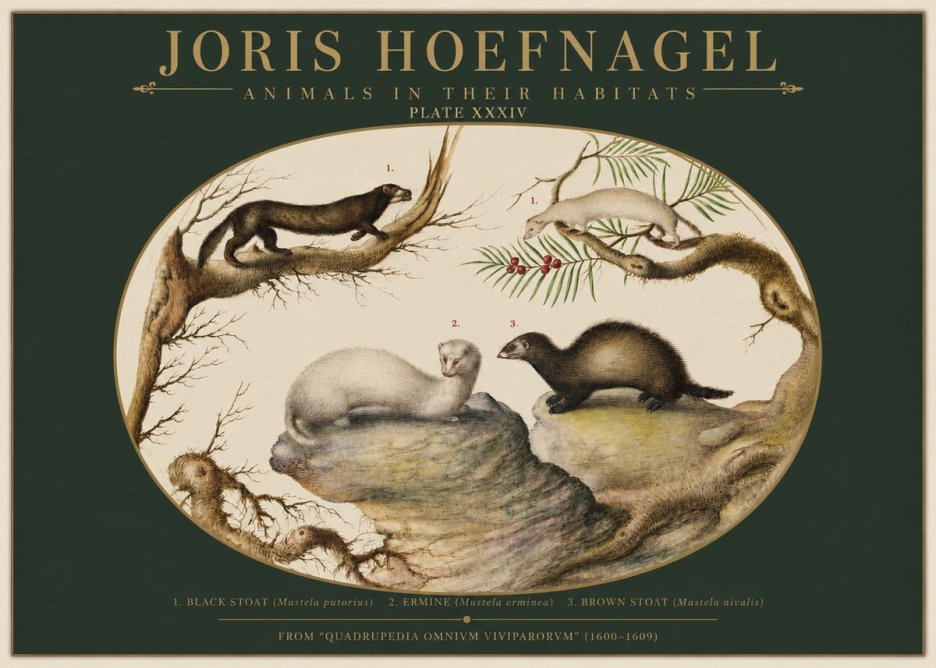 Joris Hoefnagel Animals in Their Habitats Plate Xxxiv No2 - Poster