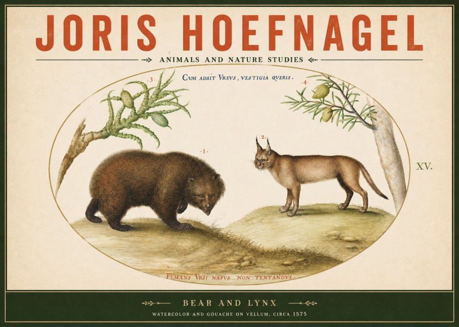 Joris Hoefnagel Bear and Lynx No2 - Poster