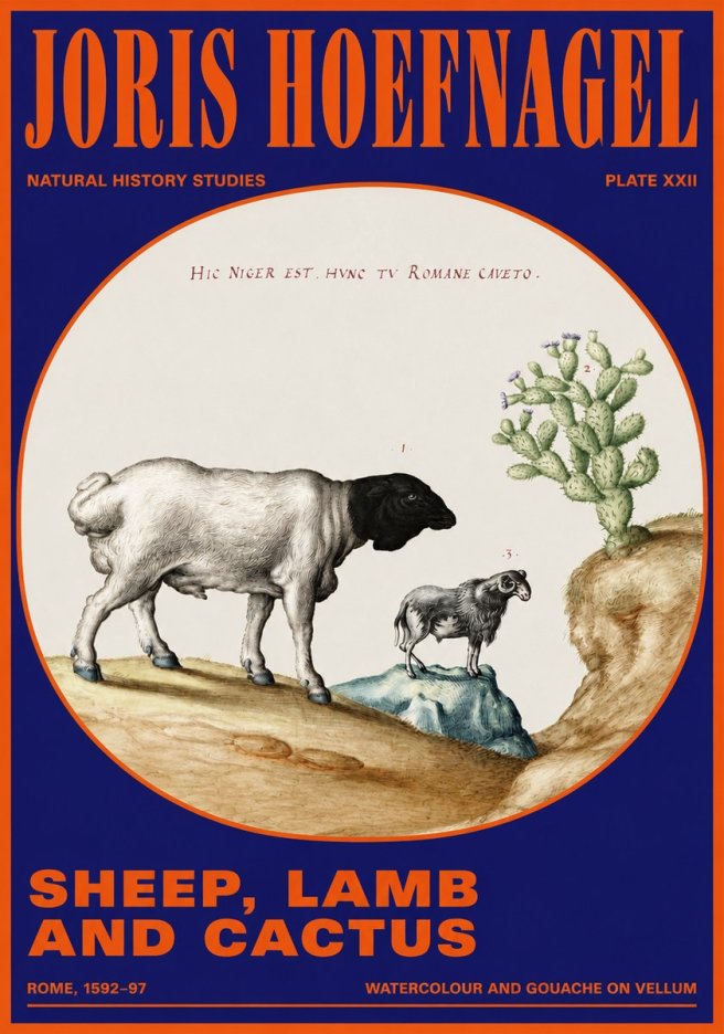 Joris Hoefnagel Sheep and Lamb with Flowering Cactus No5 - Poster