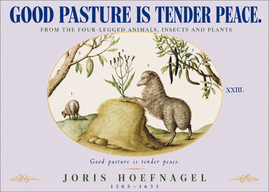 Joris Hoefnagel Good Pasture Is Tender Peace. No4 - Poster