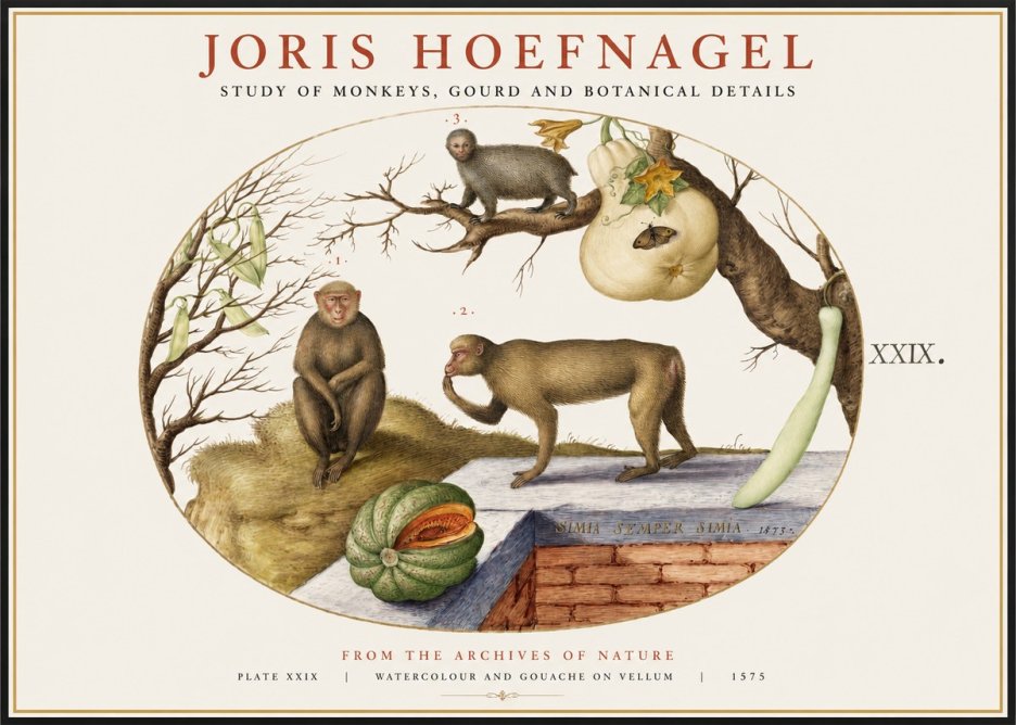 Joris Hoefnagel But Always a Monkey, Always a Monkey. Plate Xxix No2 - Poster