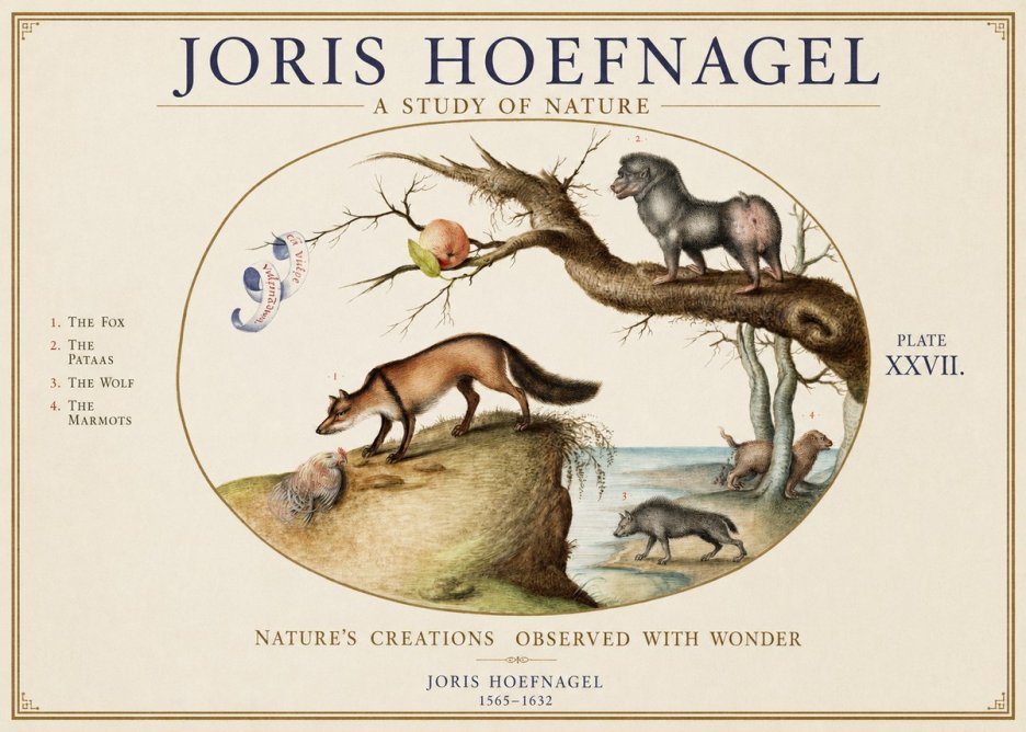 Joris Hoefnagel A Study of Nature - Plate Xxvii No1 - Poster