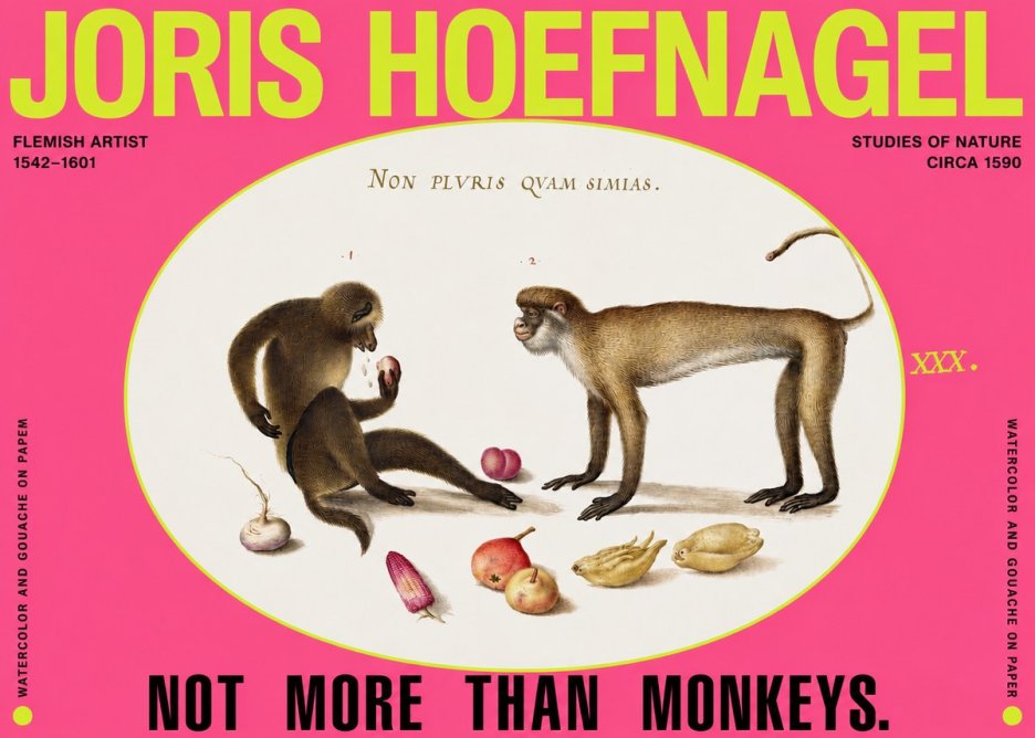 Joris Hoefnagel Not More Than Monkeys No2 - Poster