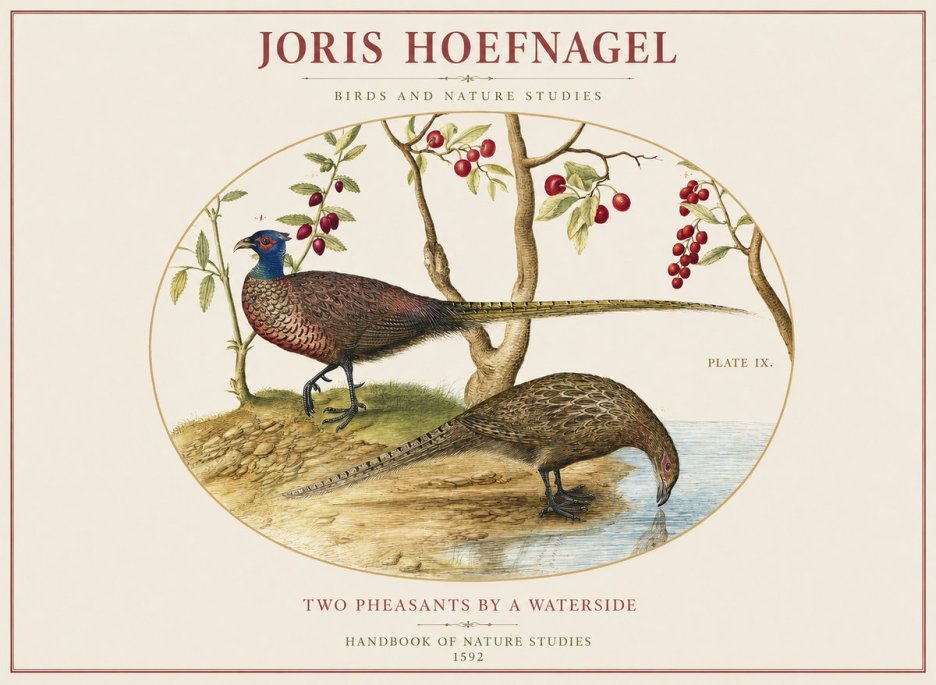 Joris Hoefnagel Peacocks and Pheasants Among Fruiting Branches No2 - Poster