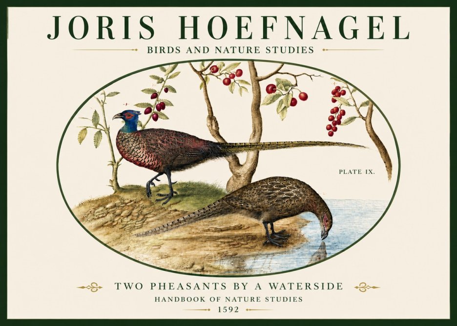Joris Hoefnagel Peacocks and Pheasants Among Fruiting Branches No5 - Poster