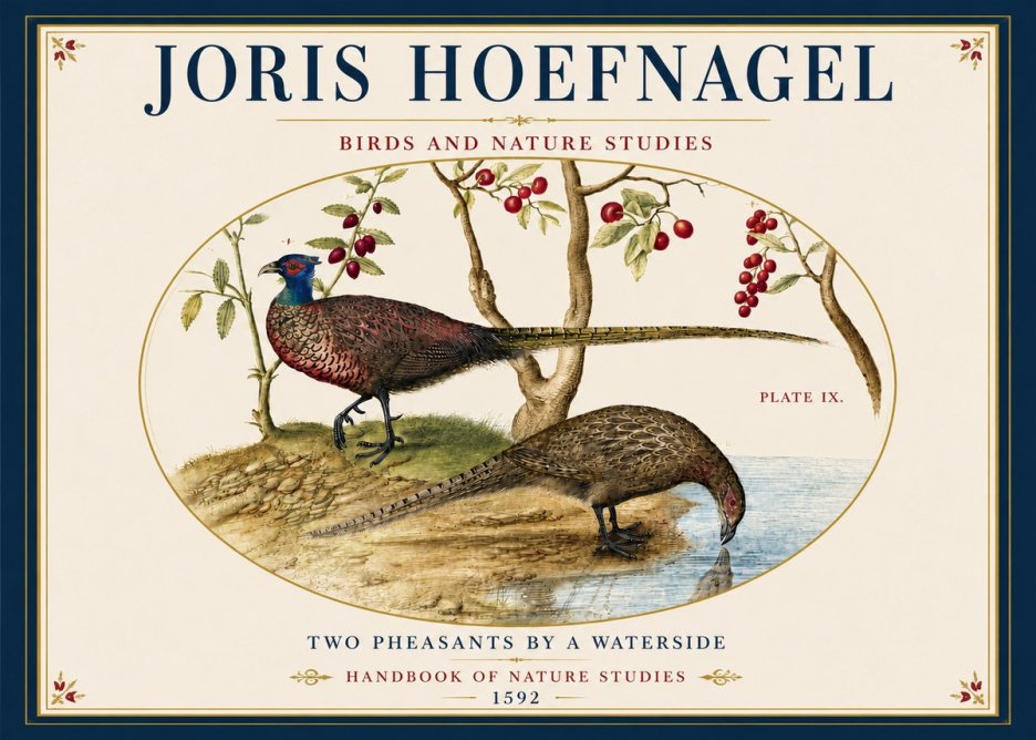 Joris Hoefnagel Peacocks and Pheasants Among Fruiting Branches No6 - Poster
