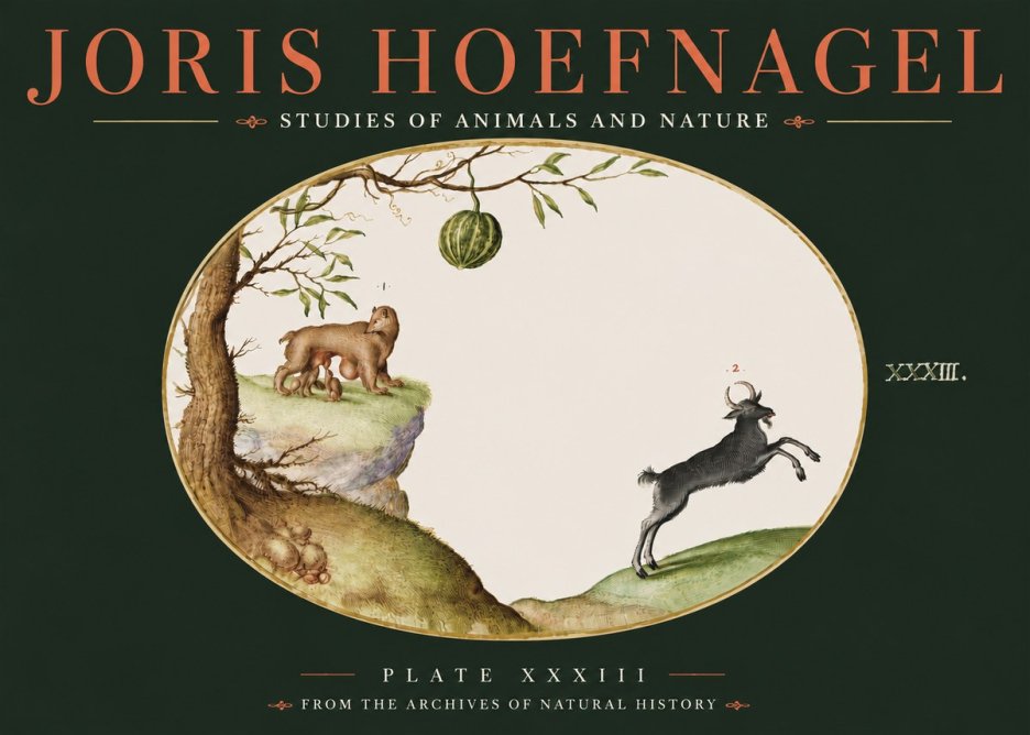 Joris Hoefnagel Plate Xxxiii No4 - Poster