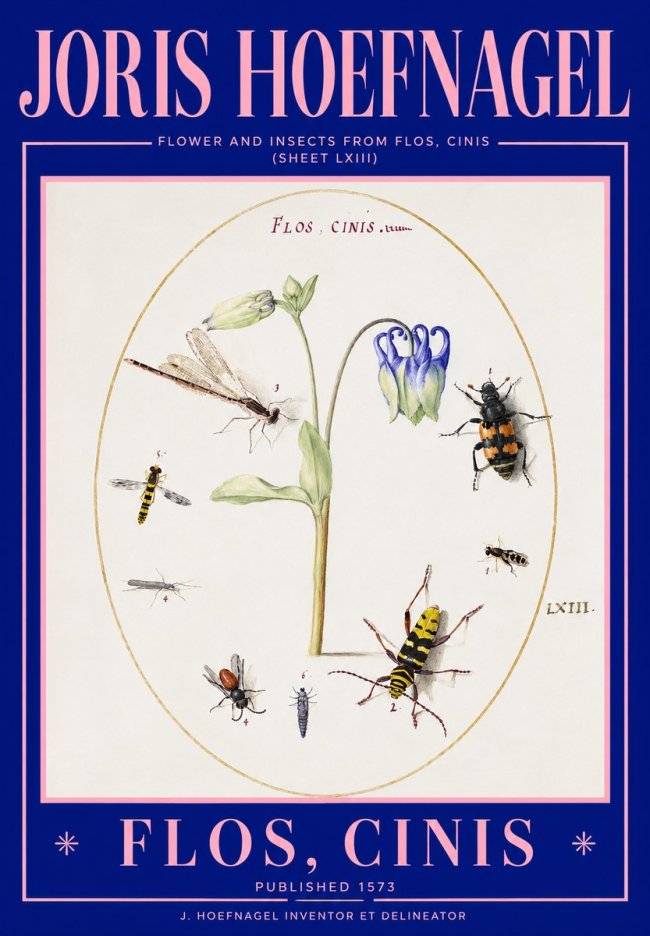 Joris Hoefnagel Insects and a Flower Study No3 - Poster