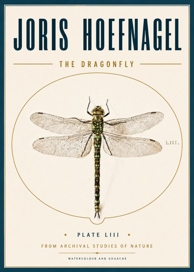 Joris Hoefnagel The Dragonfly No6 - Poster