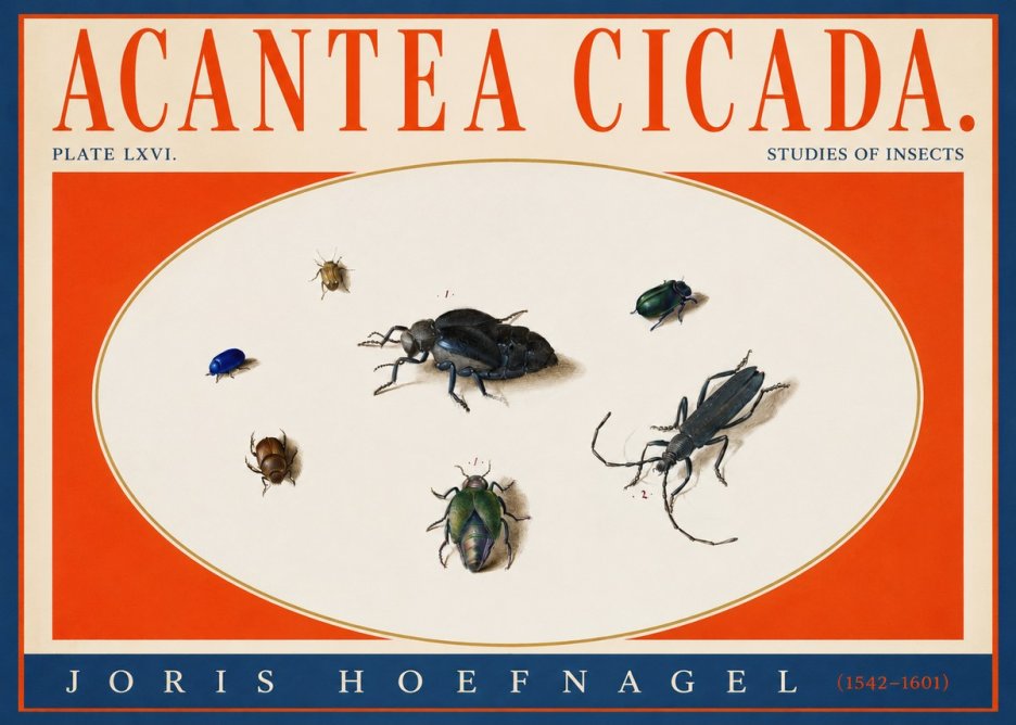 Joris Hoefnagel Acanthia Cicada No4 - Poster