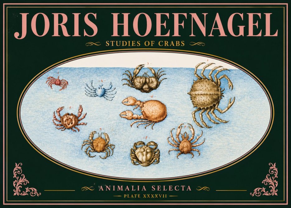 Joris Hoefnagel Studies of Crabs No5 - Poster