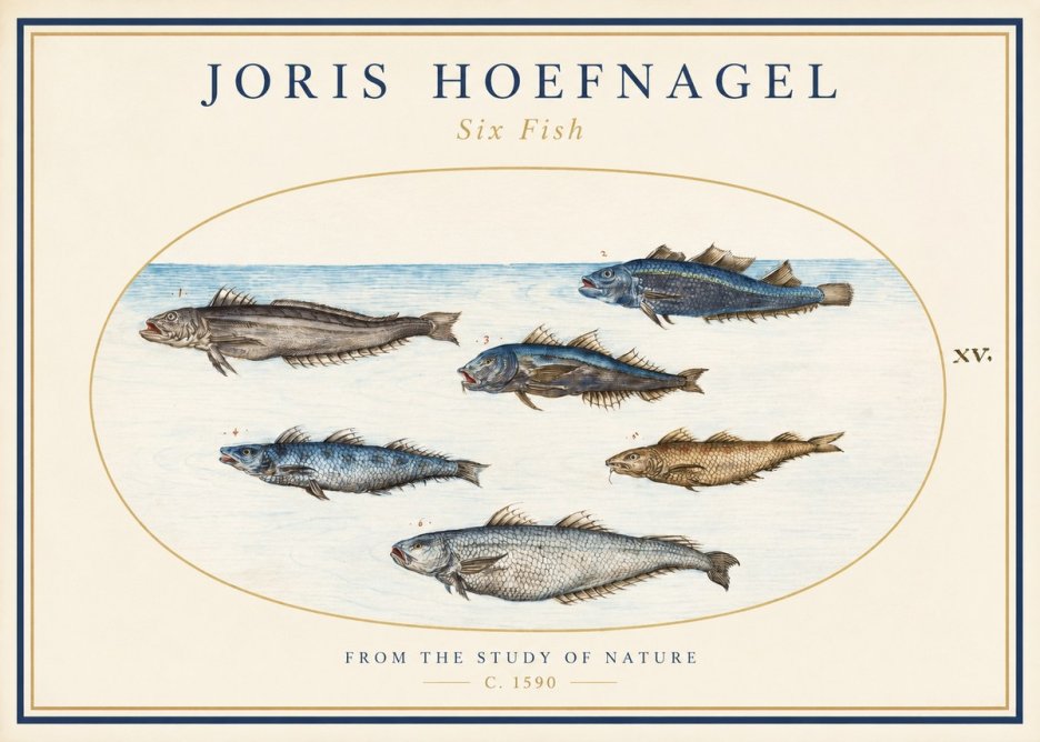 Joris Hoefnagel Six Fish No1 - Poster