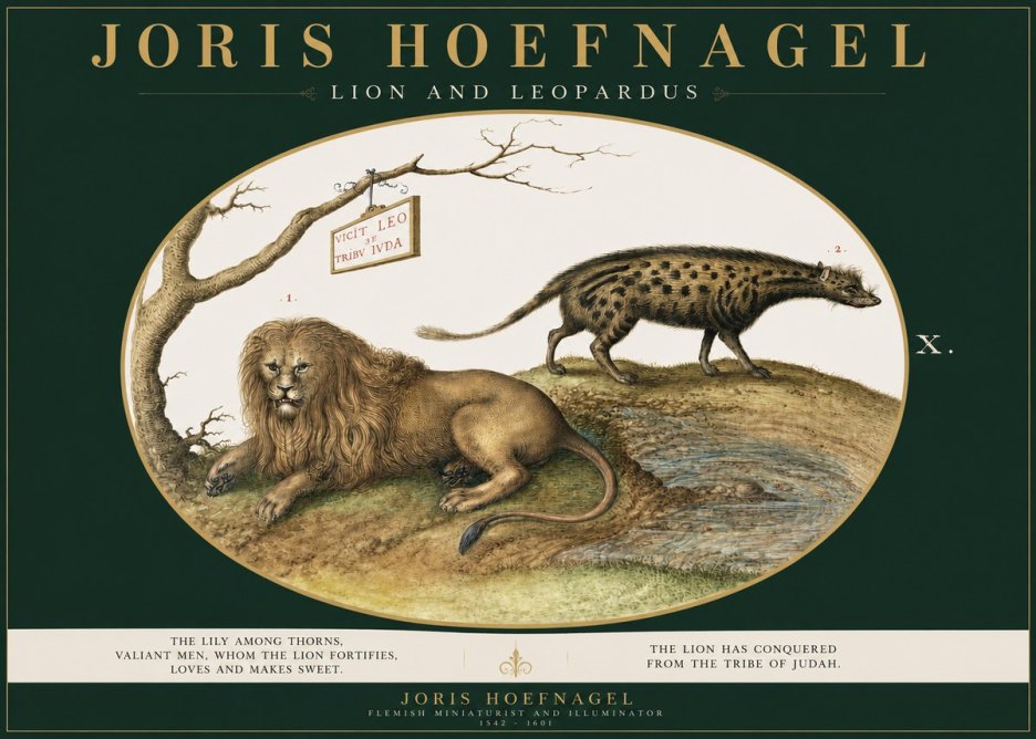 Joris Hoefnagel Lion and Spotted Hyena No3 - Poster