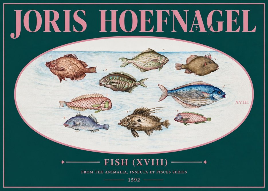Joris Hoefnagel Studies of Fish I No3 - Poster