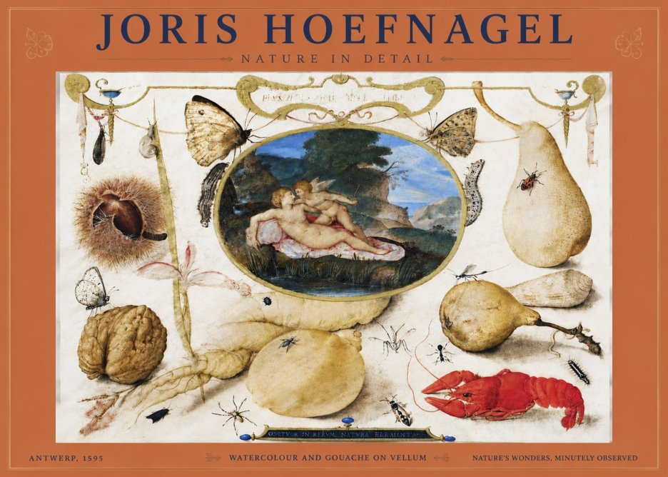 Joris Hoefnagel Nature in Detail No4 - Poster