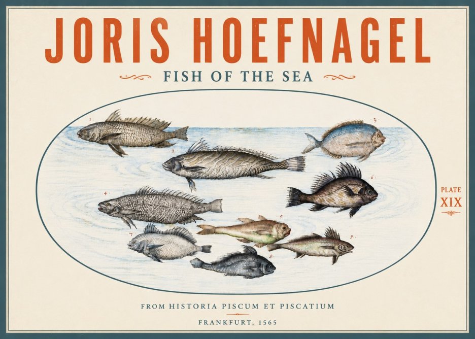 Joris Hoefnagel Fish of the Sea No5 - Poster