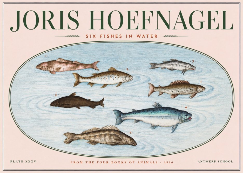 Joris Hoefnagel Six Fishes in Water I No3 - Poster