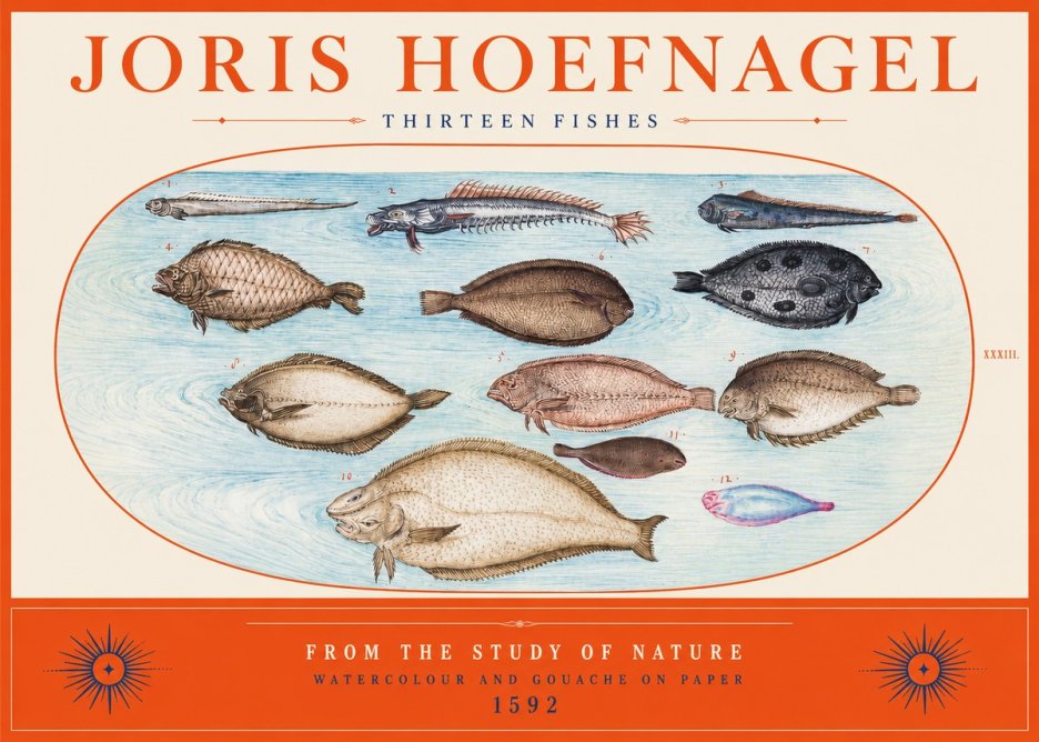 Joris Hoefnagel Thirteen Fishes from the Study of Nature No2 - Poster