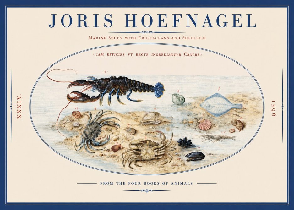 Joris Hoefnagel Marine Study with Crustaceans and Shellfish No2 - Poster