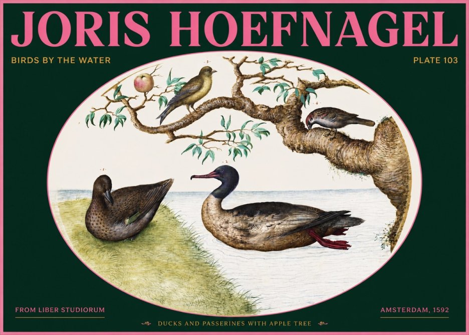 Joris Hoefnagel Ducks and Passerines with Apple Tree No2 - Poster