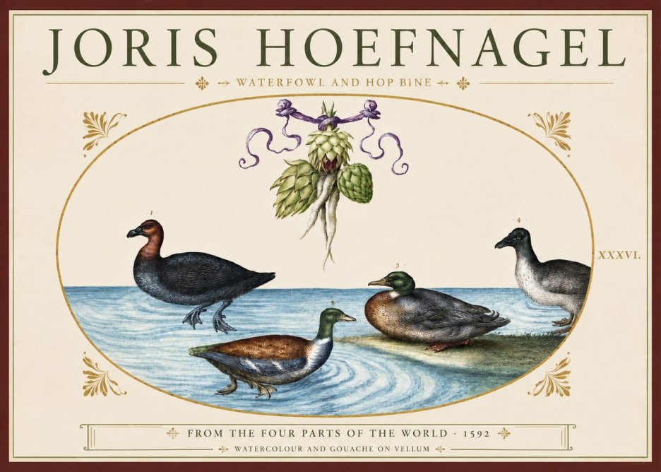 Joris Hoefnagel Waterfowl and Hop Bine No3 - Poster