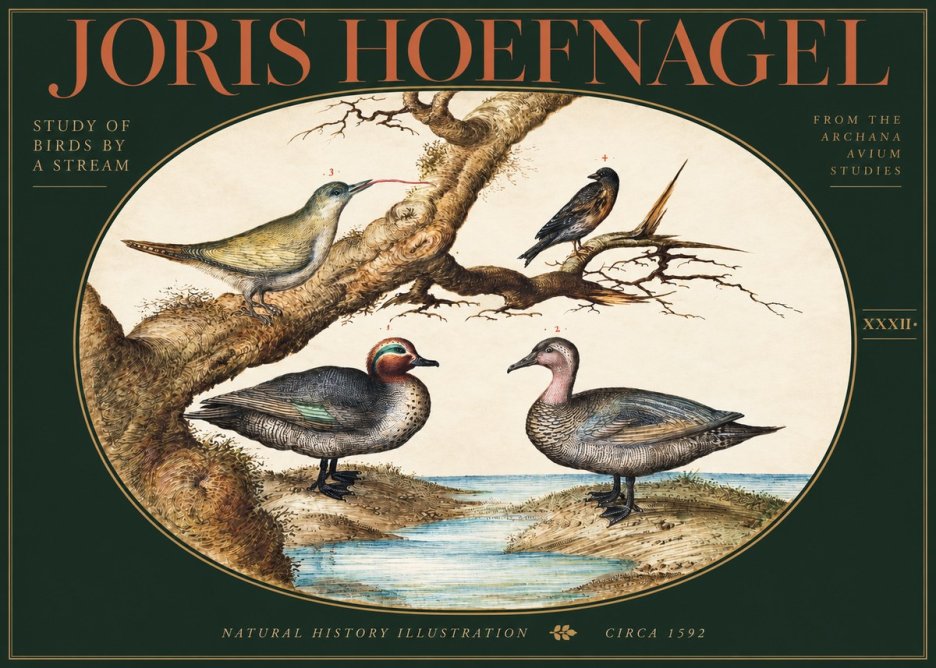 Joris Hoefnagel Study of Birds by a Stream No3 - Poster