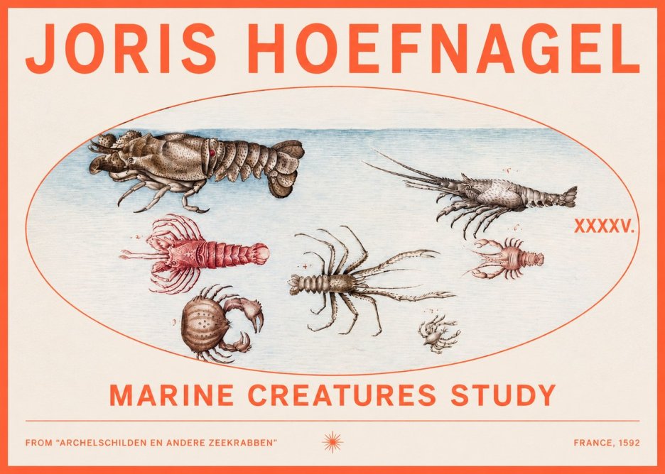 Joris Hoefnagel Studies of Crustaceans No3 - Poster