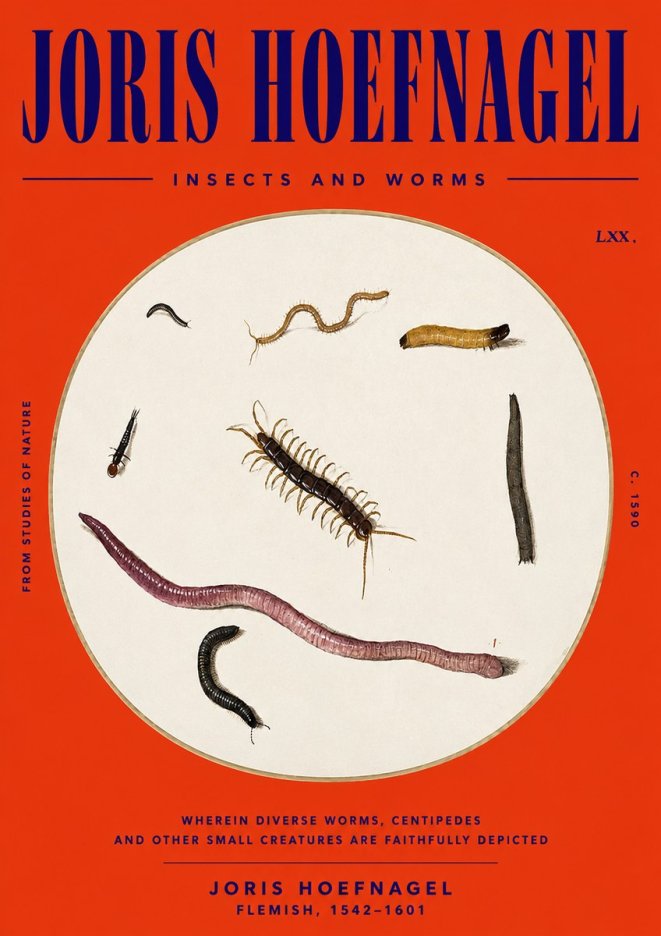Joris Hoefnagel Creatures of the Earth II No6 - Poster