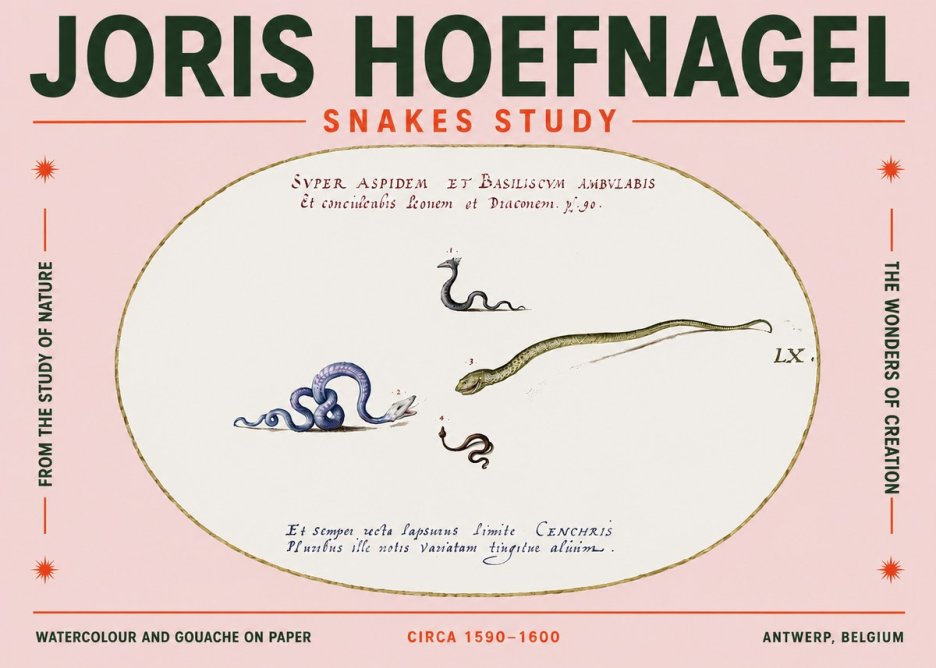 Joris Hoefnagel Studies of Serpents No5 - Poster