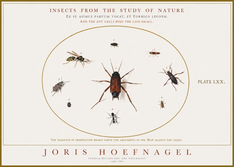 Joris Hoefnagel Insects from the Study of Nature No1 - Poster