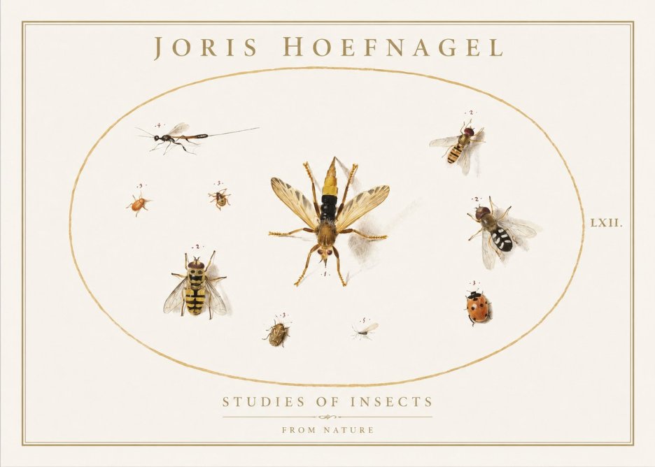 Joris Hoefnagel Studies of Insects IV No1 - Poster