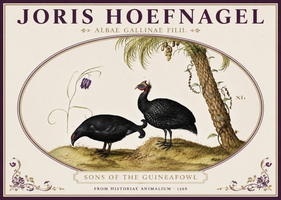 Joris Hoefnagel Albae Gallinae Filii. No4 - Poster