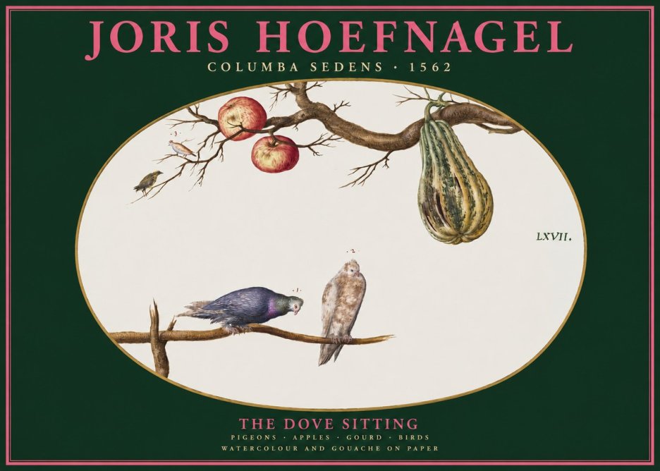 Joris Hoefnagel Pigeons Sitting. No3 - Poster