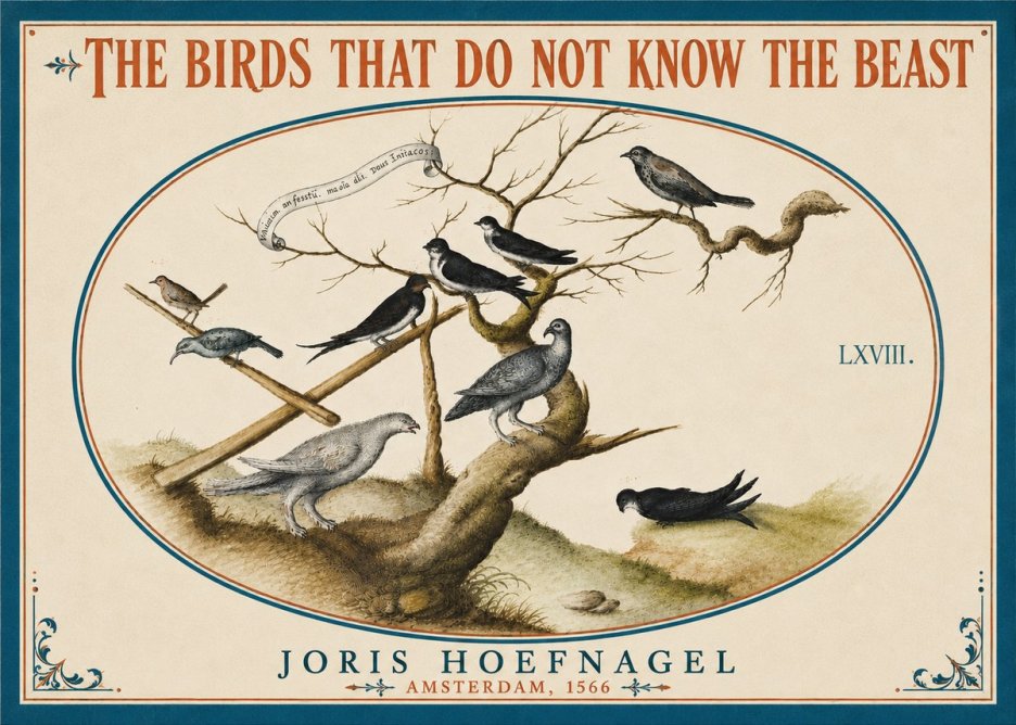Joris Hoefnagel Birds Study No6 - Poster