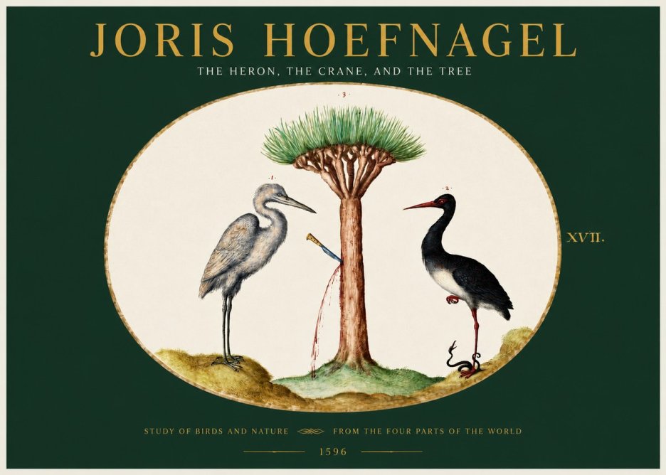 Joris Hoefnagel The Heron, the Crane, and the Tree No2 - Poster