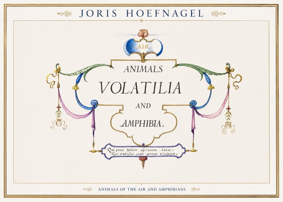 Joris Hoefnagel Animals Volatilia and Amphibia. No1 - Poster