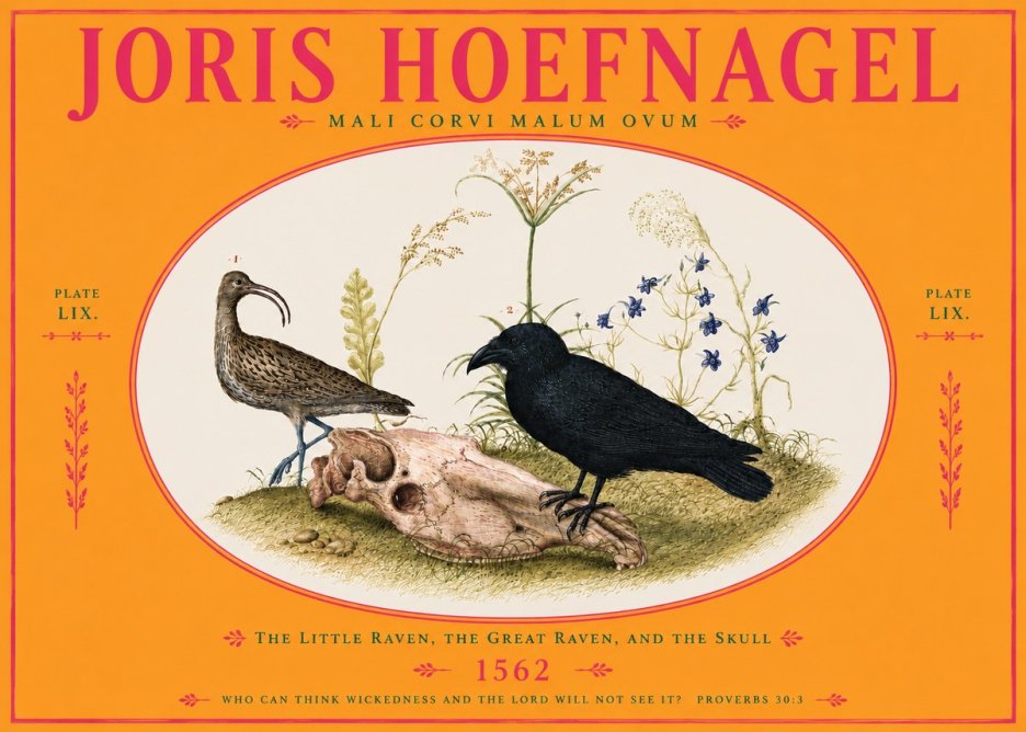 Joris Hoefnagel The Little Raven, the Great Raven, and the Skull No4 - Poster