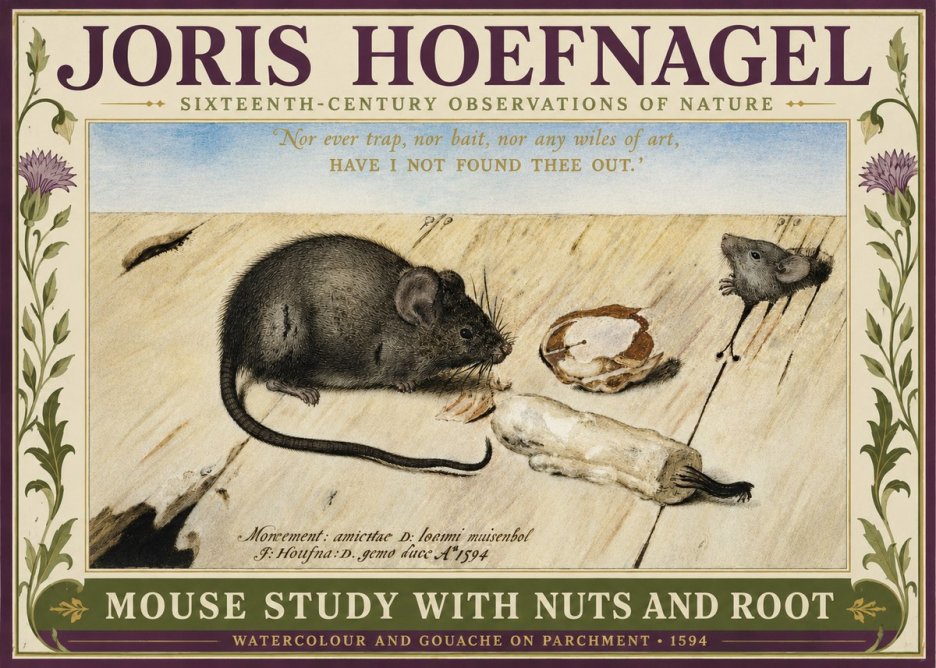 Joris Hoefnagel Mouse Study with Nuts and Root No3 - Poster