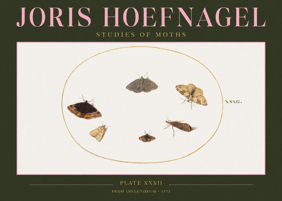 Joris Hoefnagel Studies of Moths III No2 - Poster