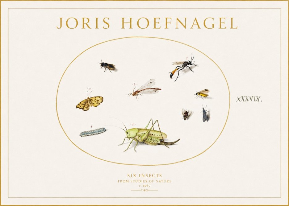 Joris Hoefnagel Six Insects from Studies of Nature C. 1565 No1 - Poster