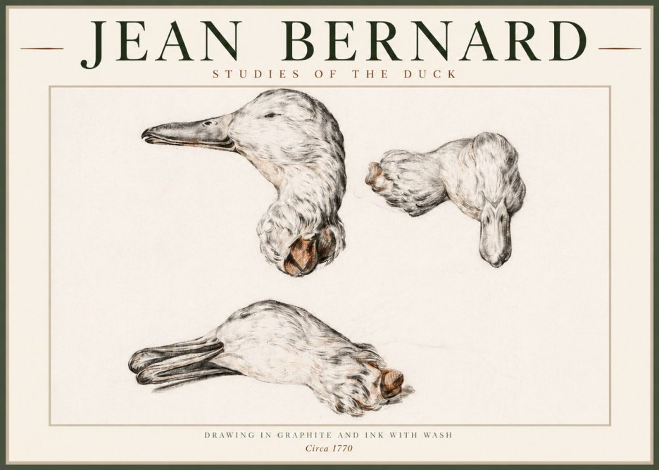 Jean Bernard Studies of the Duck No4 - Poster