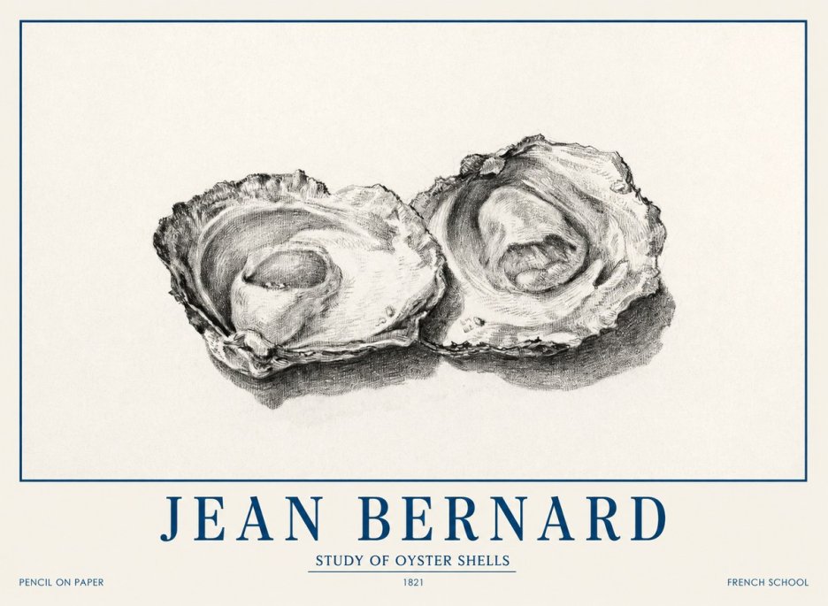 Jean Bernard Study of Oyster Shells No1 - Poster