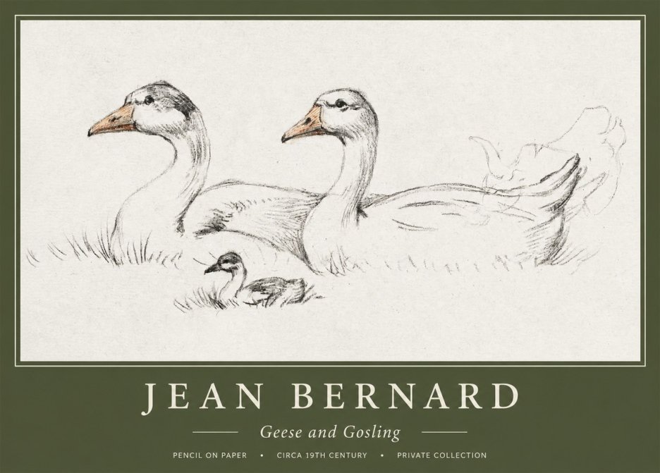 Jean Bernard Study of Geese No2 - Poster