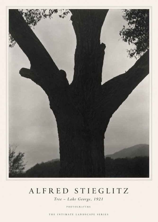 Alfred Stieglitz Tree - Lake George, 1921 No1 - Poster