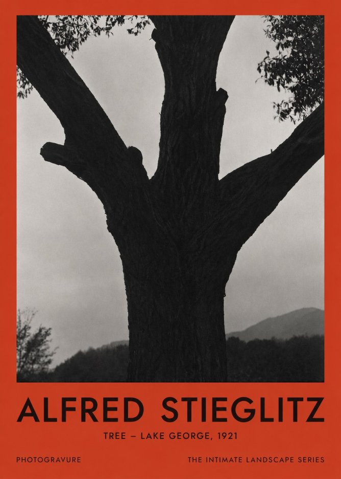 Alfred Stieglitz Tree - Lake George, 1921 No2 - Poster