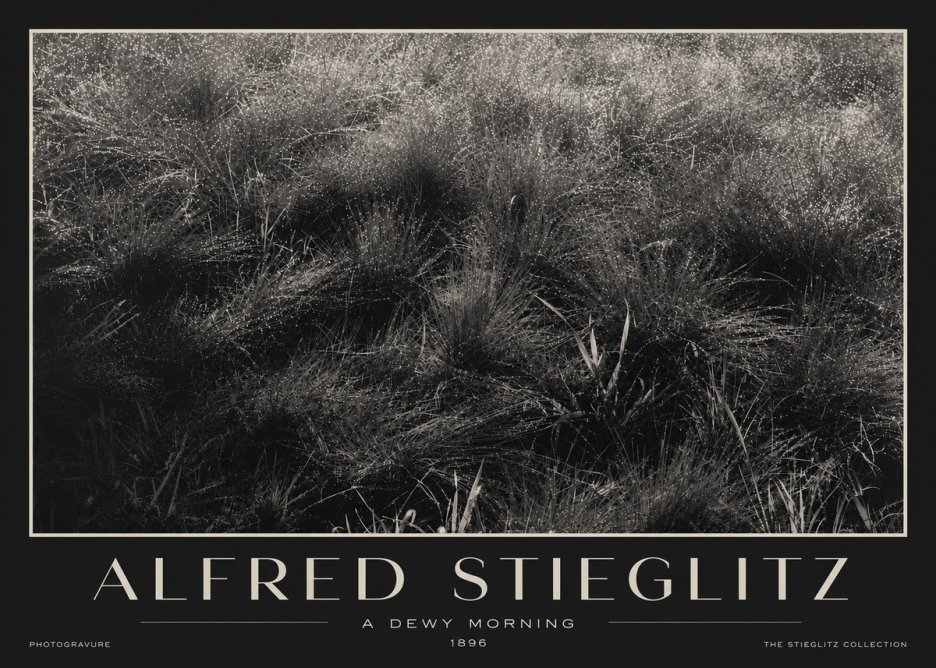 Alfred Stieglitz A Dewy Morning No3 - Poster