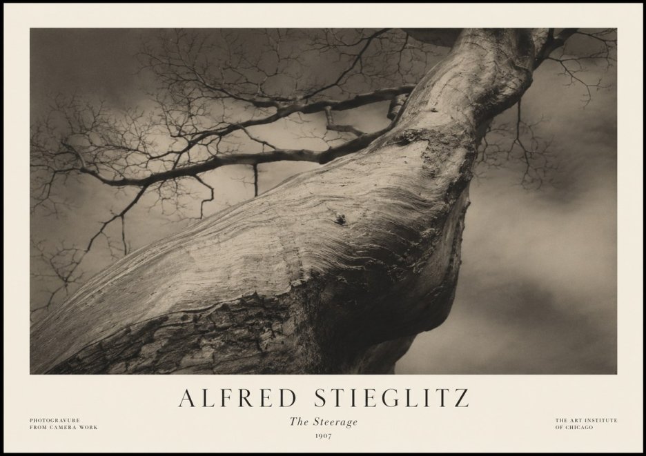Alfred Stieglitz The Steerage I No1 - Poster