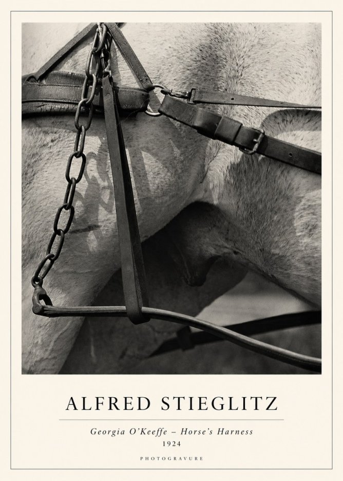 Alfred Stieglitz The Steerage I No2 - Poster